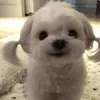 honestlythatsrandom