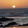 kalatimsahara