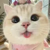 baobei17tuoi