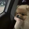 rekimymostbeloved