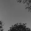 _lisxxx._