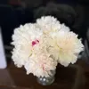 thaomom034