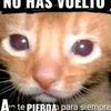 sssbbel
