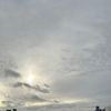 ynoellayce
