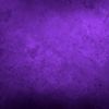 purple_tauro