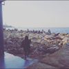 sadra_lover