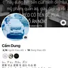 camdung991