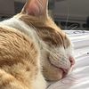matthew_purry19137