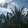 annisawidyadhana0