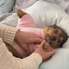 myabrwn_