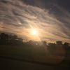 follow.other_acc