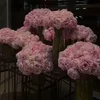 userr_r26