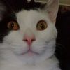 littlebitofmentalillness