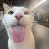 asapjeydeee