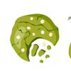 kukissmatcha.official