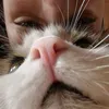 my_pussy_is_thecutest