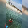 lea_06220