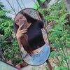 katty_lpt
