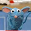 maddisonschuch