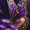 raluca._mihaela