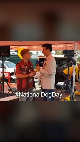 Rescue dogs! #NationalDogDay #DogRescue #ZachRiceTV @aarondoh #FeatureMe @musical.ly 