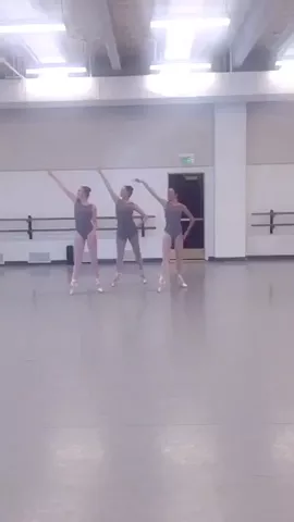 #AlarmChallenge 🔥@kathrynstuehmer @stella_dancer #featurethis #dance #feature #safarichallenge #ballet #story 