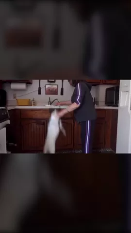 #MyBestVine 