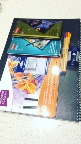 Love the art supplies I got yesterday for Christmas😍🎄what did u get? #FeatureMe #FeatureThis #ArtSupplies 