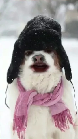 Just chillin 