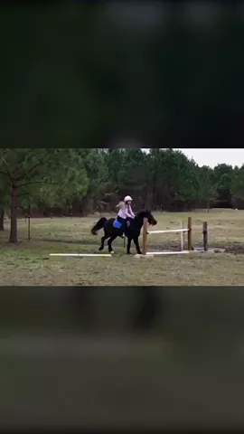 This is literally the perfect jump ever 😍 do u like this jump? #Like #Pony #Feature #Love #Canter #Jump #Bored 