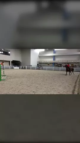 Young Horse Problems: 