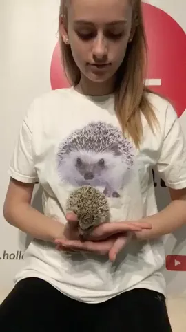 Hedgehog love ❤️#AnimalChallenge #FeatureMe #FeatureThis #Hungary #PetsOfMusically