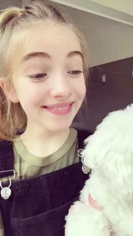 umm ? 🐶