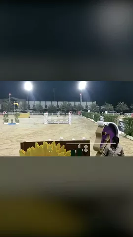 At #Championship- #uae #dubai #horse #horses #showjumping #showjumper #featureme #athlete #yolo #sports