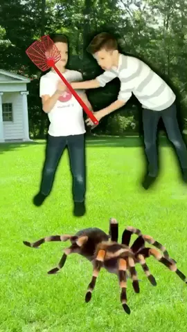 To kill or not to kill a spider. That is the question. 😂 #SpidersHaveFeelingsToo #Talent #Editz #FeatureMe