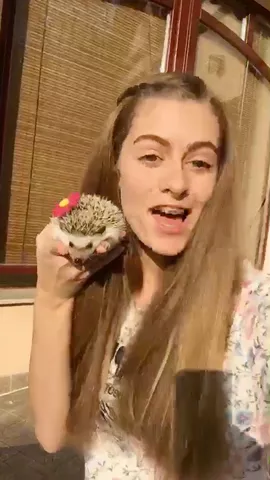 Feels Good 🌸❤️😍#Hedgehog #Hungary #FeatureThis #FeatureMe #FeelsGood