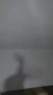 #desafiodassonbras