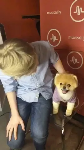 Love Kenzie's new song #MonstersAKAHaters 😍😍😍 @mackenzieziegler @JiffPom