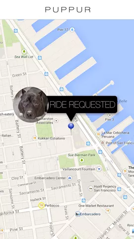 Your pupper will be arriving shortly! 🚕🐶 #SawSomethingWeird #FeatureMe