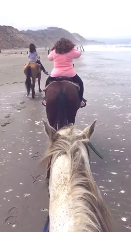 🌊🐎 pt.2 #adventure #beach #ocean #horses #wild #fun #roam