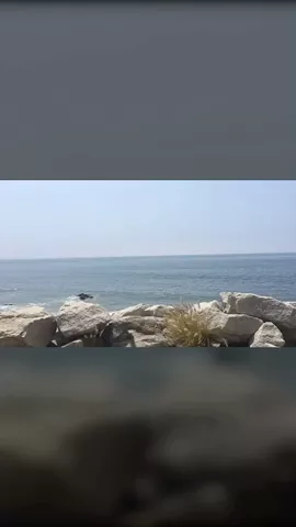#SummerVibes in Malibu with @elizacaws 😎 I'll be on WT's live.ly in a few minutes - come join! #NextWaveJune