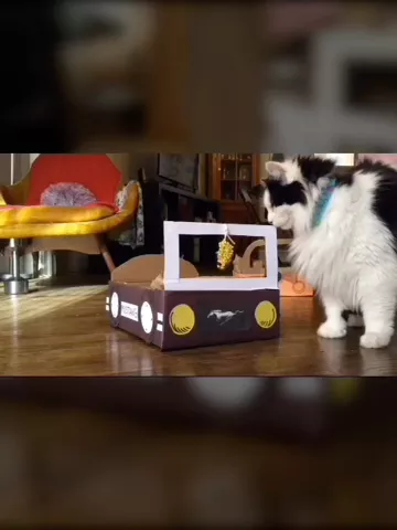 Who needs a ride?! #CarMusically @theoreocat #featureme