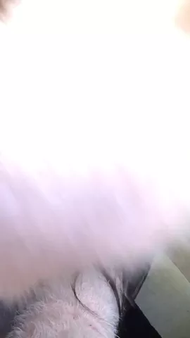 🌸🌸