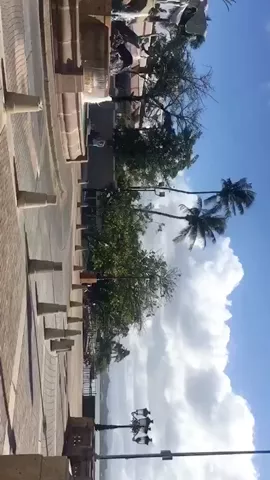 @elizacaws travel vlog from da Caribbean! Follow her and watch her on WT's live.ly now! #TravelVlog