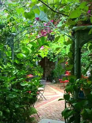 Welcome to Rouge❤️