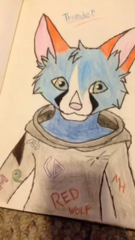 inspired by @keyunlovv I draw Thunder again #furry