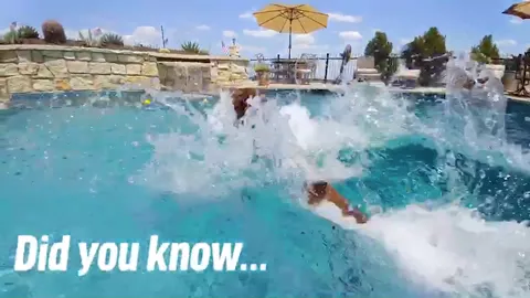 Does your pup like to go for a swim? @ilovepep is there for all your pet care questions! #endofsummer #dogs