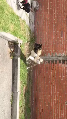 De paseo con las amigas🙃