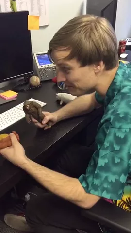 Don't forget to charge your mouse 🐭