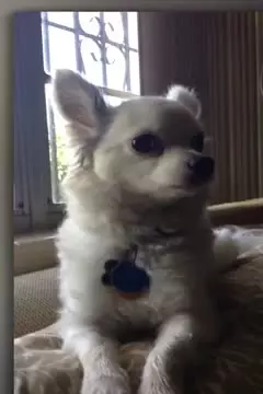 #afv